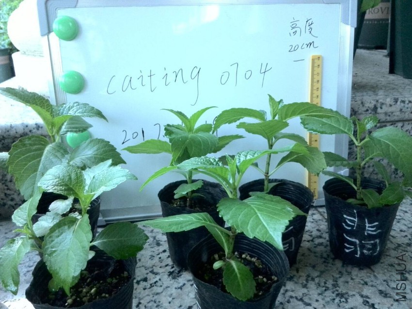 ���.jpg
