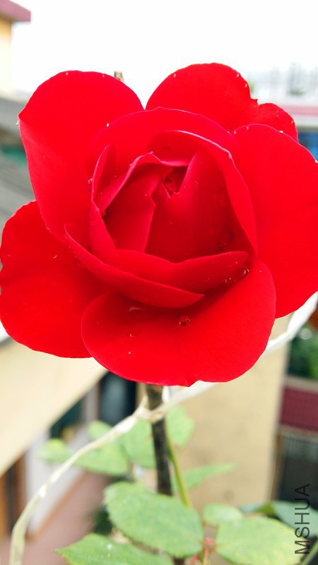20170417_131716_����.jpg