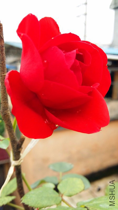20170417_131950_����.jpg
