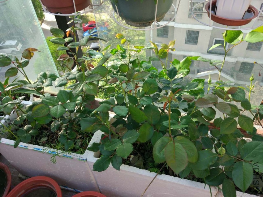 �ü����¼�������֮��ȵ�
