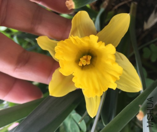 ��������ͼƬ20170419105603.jpg