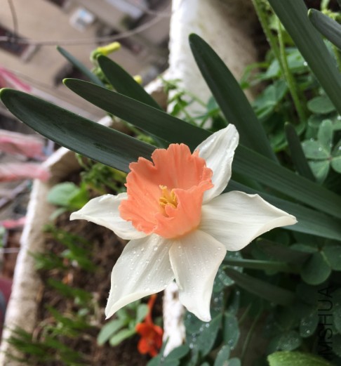 ��������ͼƬ20170419105425.jpg