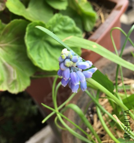 ��������ͼƬ20170419105450.jpg