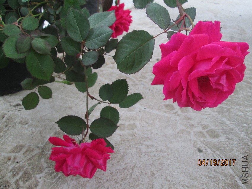 IMG_5840.jpg