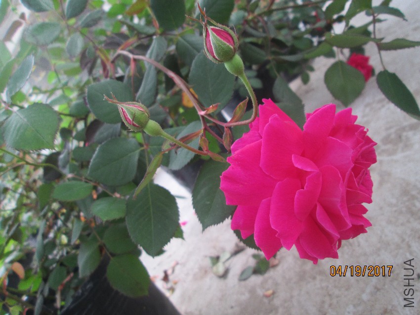 IMG_5839.jpg