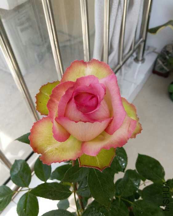 20170419_211934.jpg