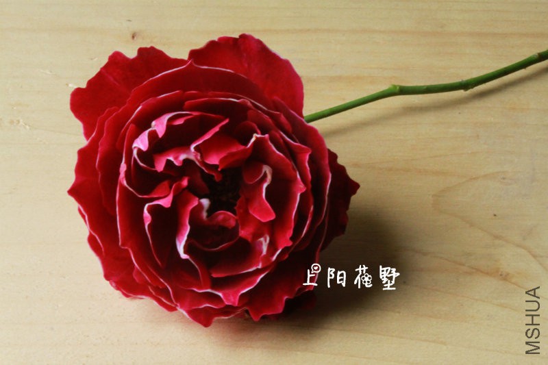 ���޵��о�