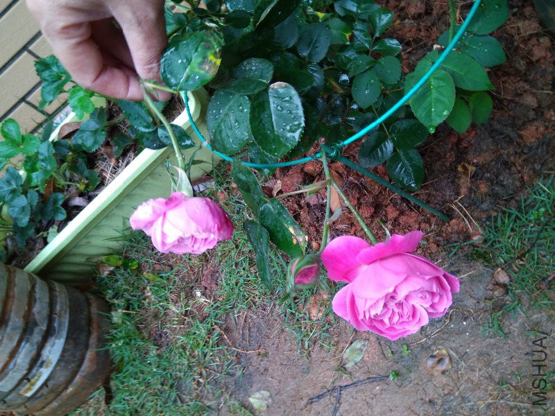 �������