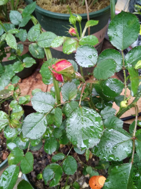 â������