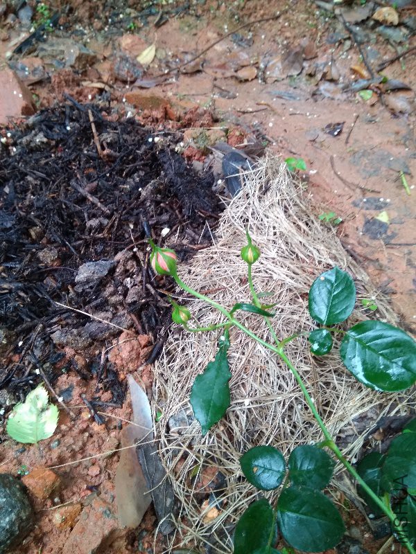 ���ջ���