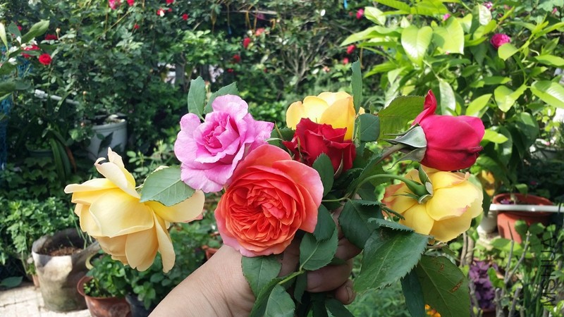 20170418_082610.jpg