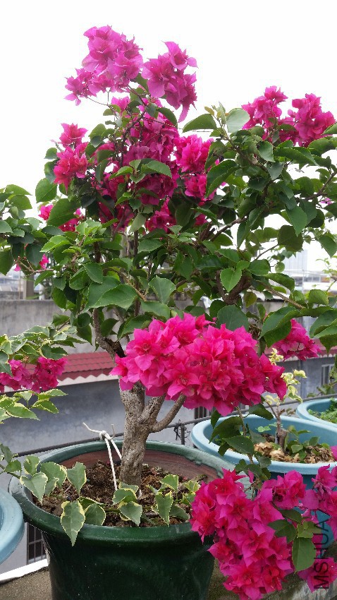 ��Ƭ 033.jpg