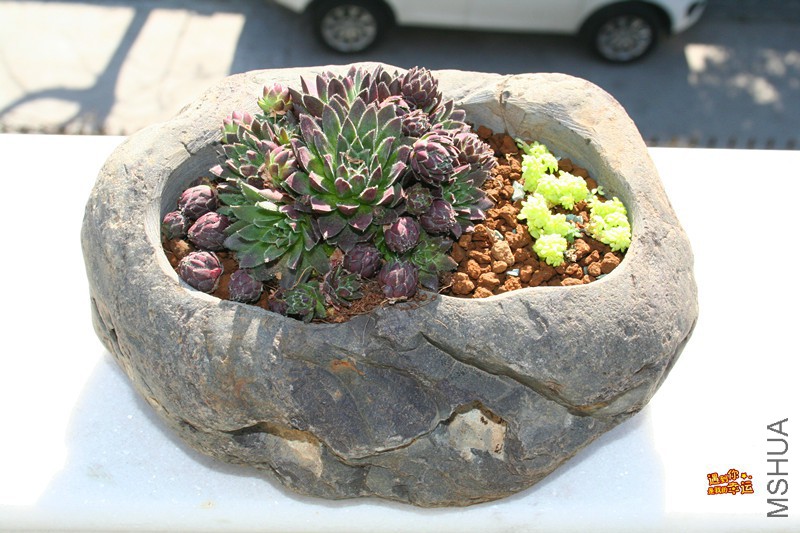 ��Ƭ 115_����.jpg