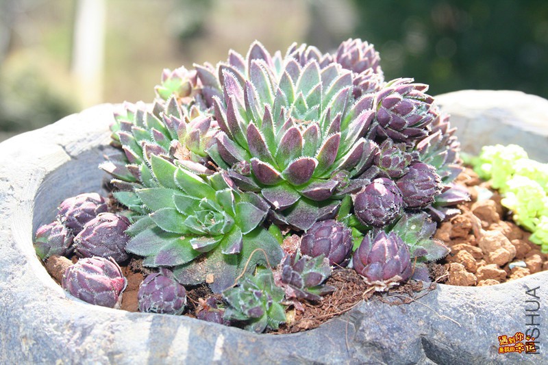 ��Ƭ 120_����.jpg