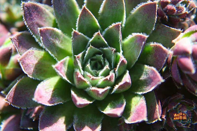 ��Ƭ 121_����.jpg