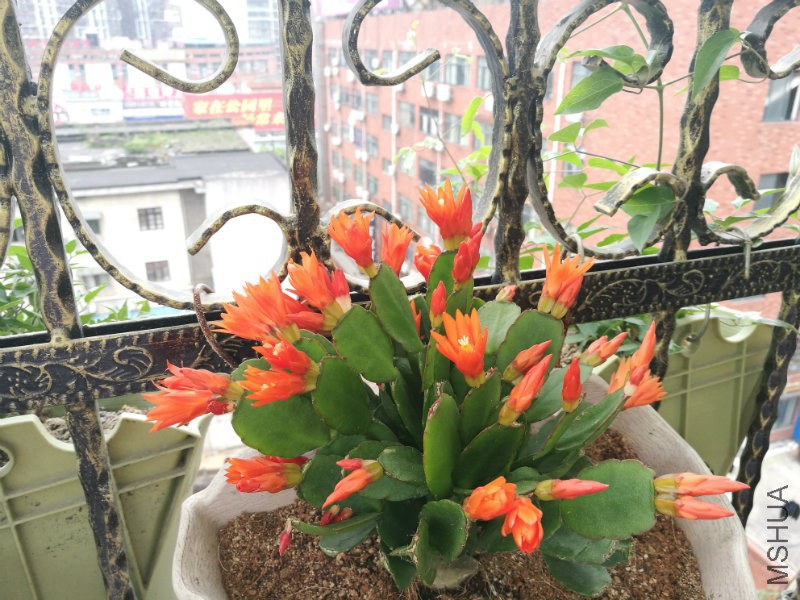 IMG_20170415_091416.jpg