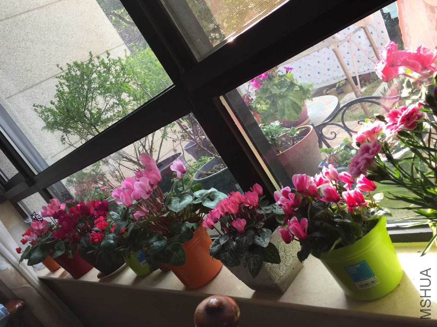 2017-02-25 092238.jpg