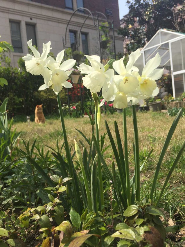 2017-04-02 135712.jpg