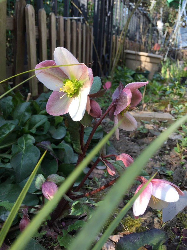 2017-02-25 084601.jpg