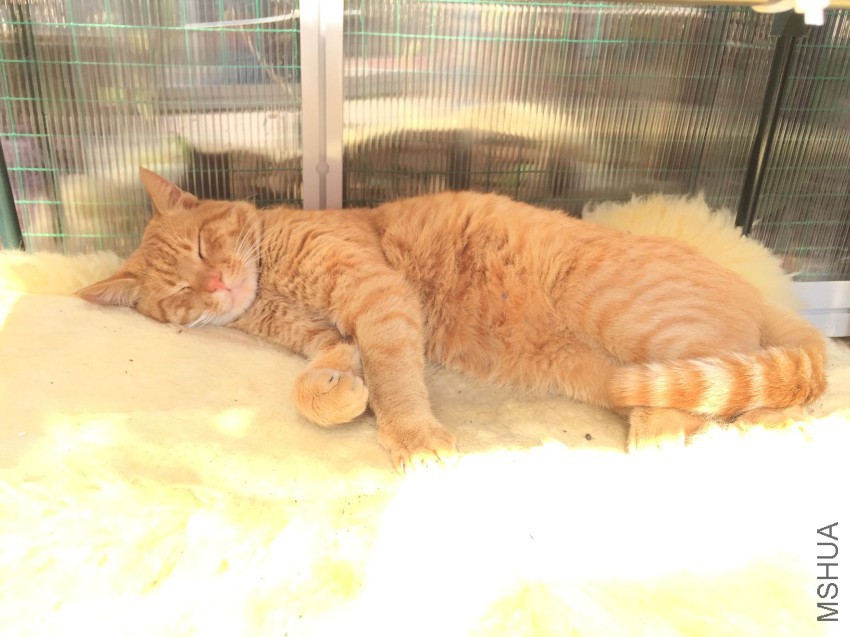 2017-02-18 125953.jpg