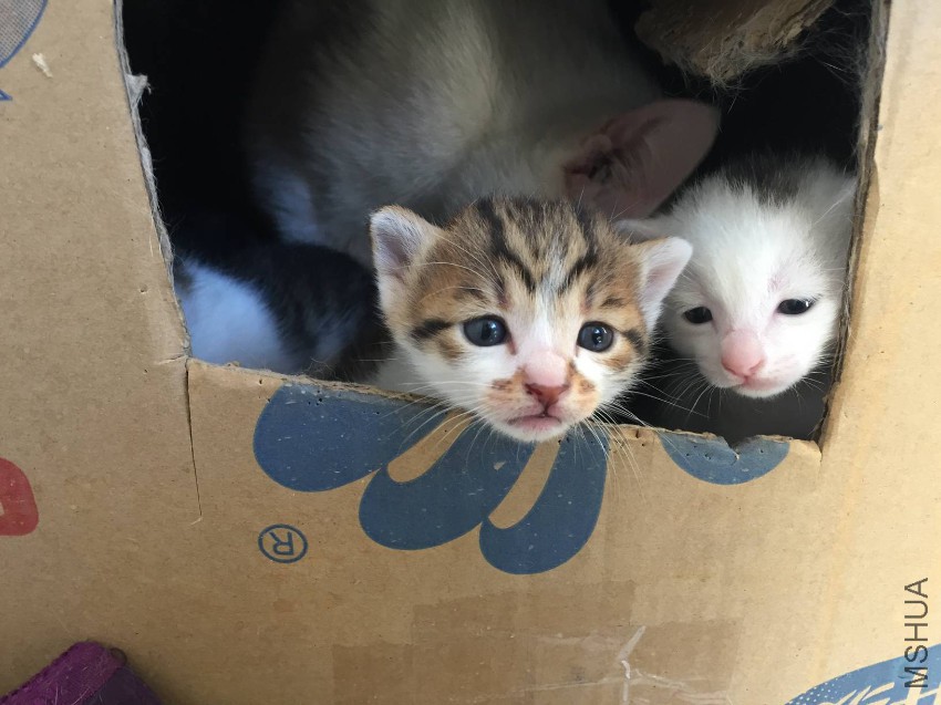 2017-04-15 080946.jpg