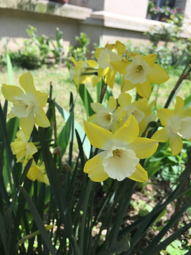 2017-04-15 100107.jpg