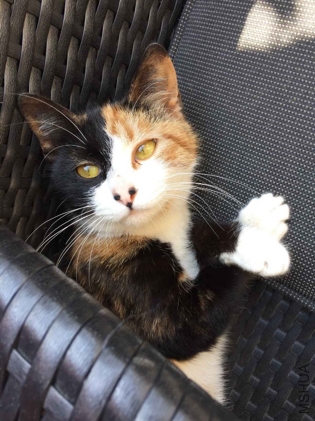 2017-04-03 124240.jpg