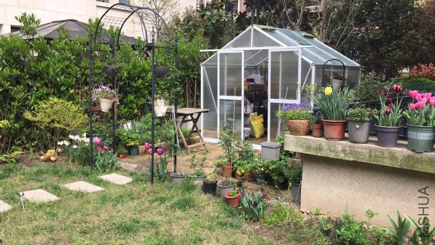 2017-04-08 094859.jpg