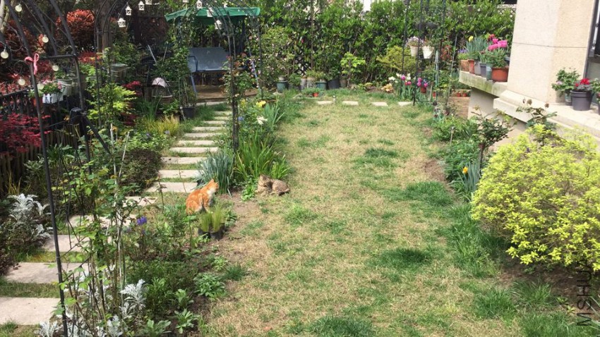 2017-04-08 094328.jpg