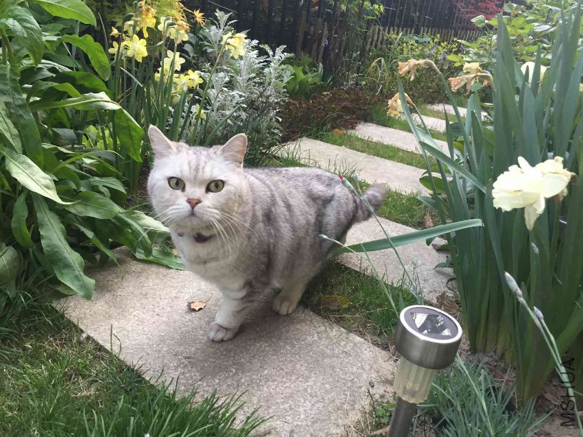 2017-04-14 180050.jpg