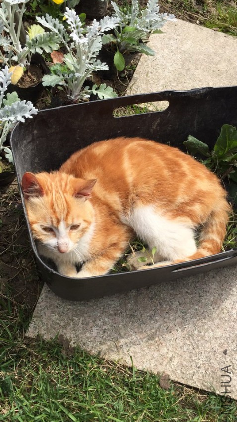 2017-04-08 095030.jpg