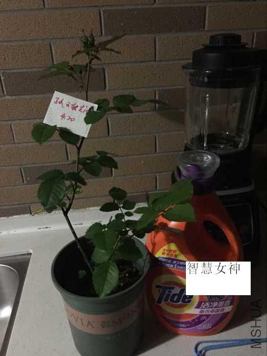 QQͼƬ20170421094111.jpg