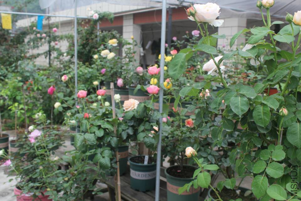 101221satflktk5ad89dky.jpg