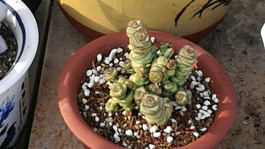 wx_camera_1492766822566.jpg