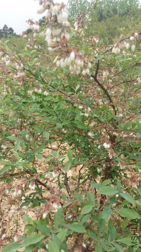 20170421_110334_����.jpg