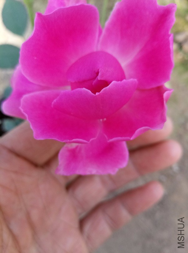 �뿪�к���֮��
