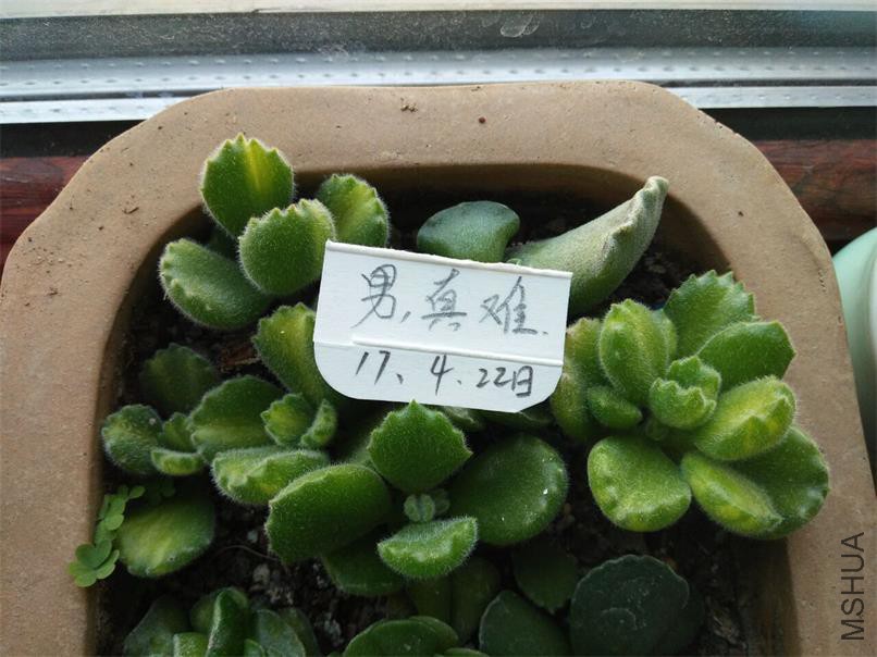 QQͼƬ20170422093615.jpg