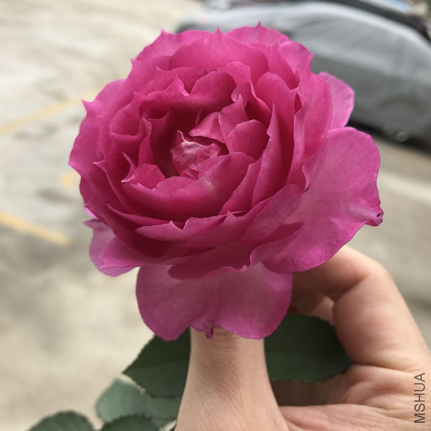 QQͼƬ20170422113222.jpg