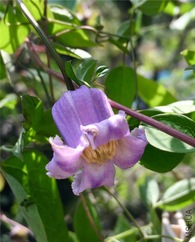 Ψһ��һ������