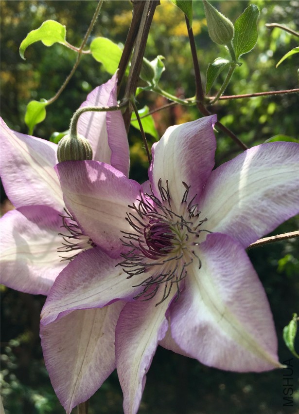 ���а��Ǹ��ú���