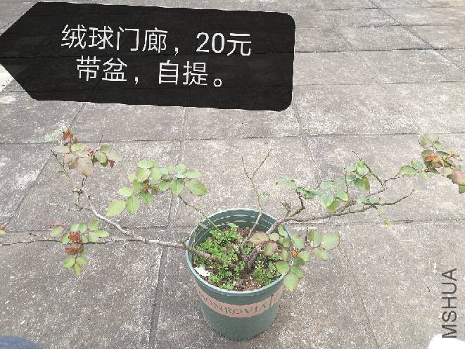 152013ayei7ogj73p7gdg5.jpg