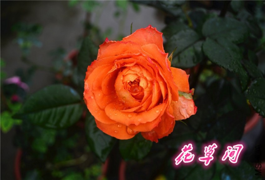 102225q9qw6q9ccdqdd6rw.jpg