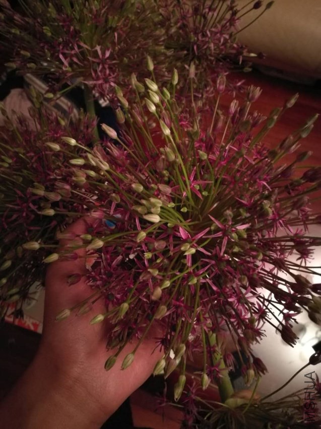 �󻨴У��޴�