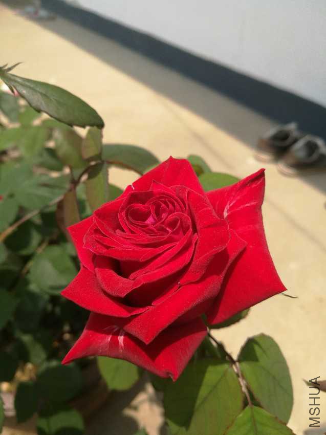 IMG_20170422_115119.jpg