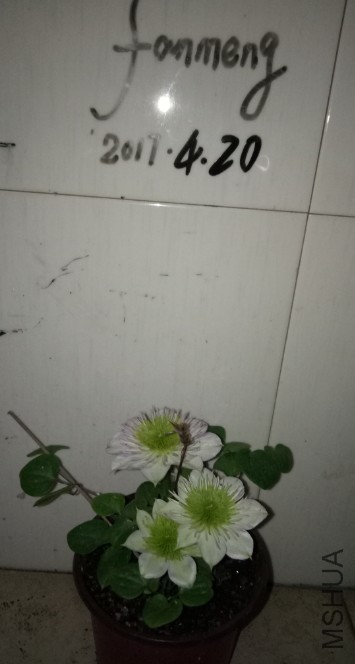 �ʵ�.jpg