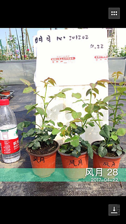 ����3�����油