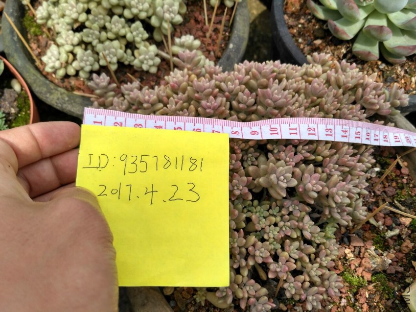 ������16CM15Ԫ