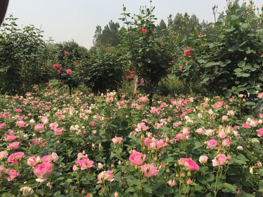 ΢��ͼƬ_20170423141409 - ���� - ����.jpg