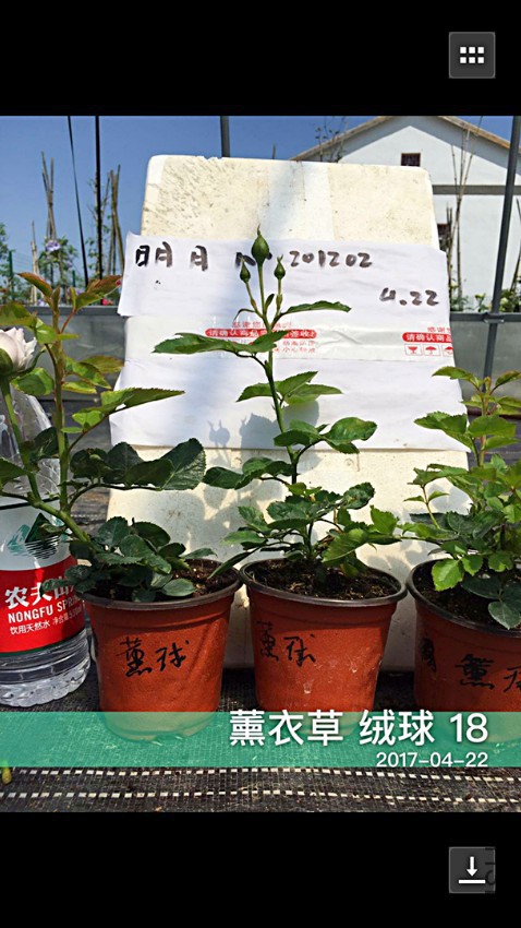 ޹�²�����3�����油