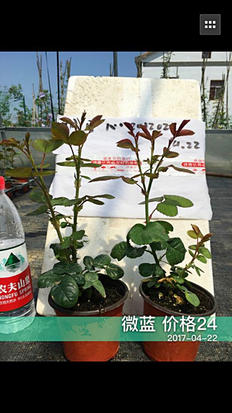 ΢��2������